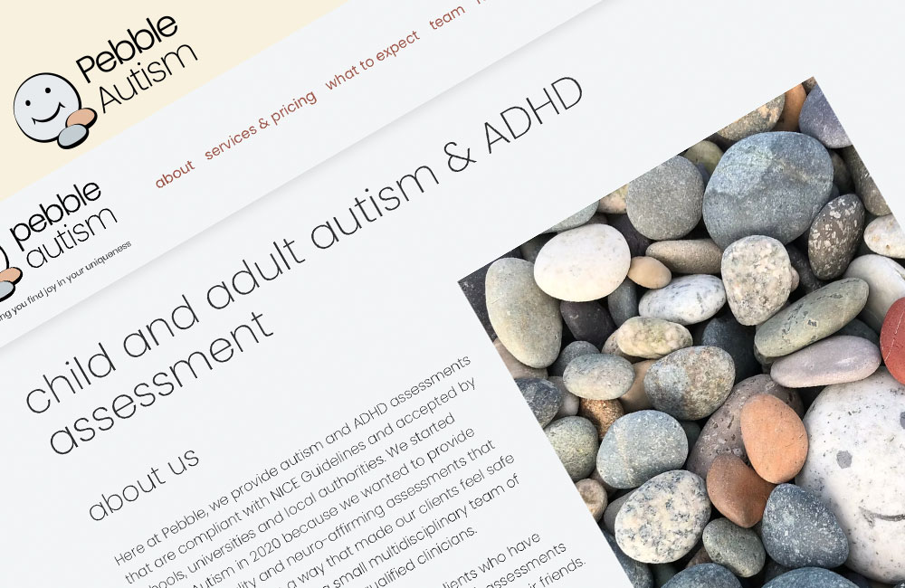 Screenshot from the Pebble Autism website